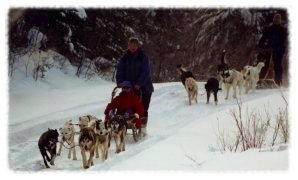 Navigating the trail by dogsled